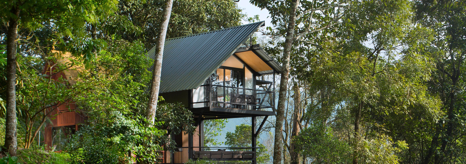Bamboo Dale