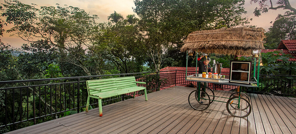 Bamboo Dale
