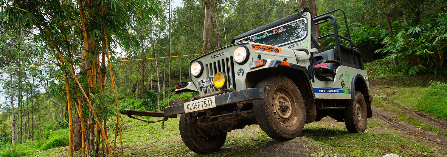 Bamboo Dale