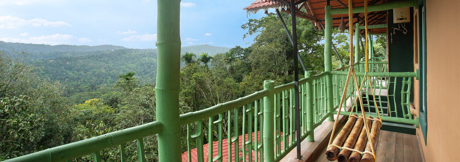 Bamboo Dale