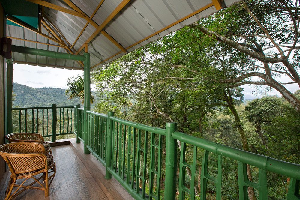 Bamboo Dale|Munnar Resort and Hotels|Nature Resort Munnar